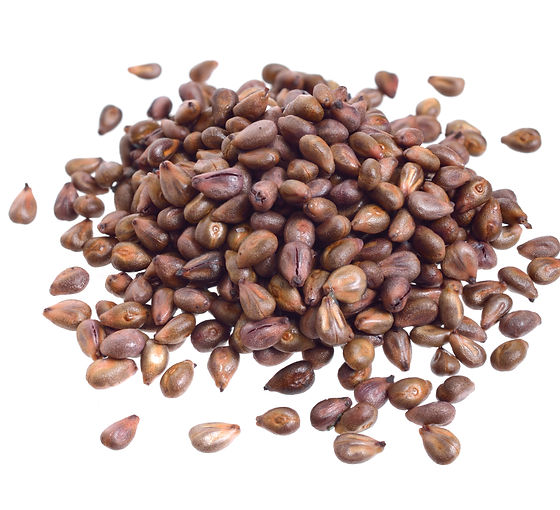 Semillas de uva